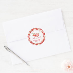 Pink Red Plaid Berry Sweet Strawberry Baby Shower Classic Round Sticker