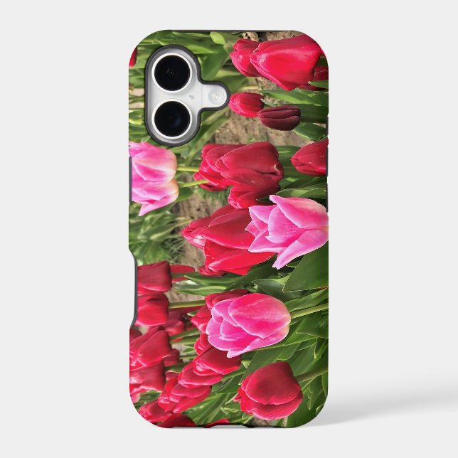 Pink & Red Tulips (Back)
