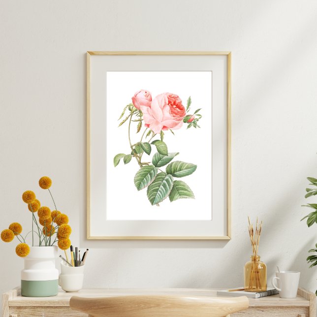  Pink Redouté Vintage Rose  Tissue Paper (Creator Uploaded)