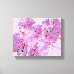 Pink rhododendron blossom floral boho beautiful canvas print