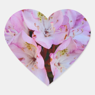 Pink Rhododendron Flower Heart Sticker