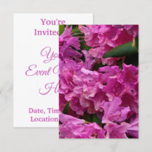 Pink Rhododendron Flowers