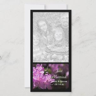 Pink Rhododendron Flowers Just Married Wedding Announcement