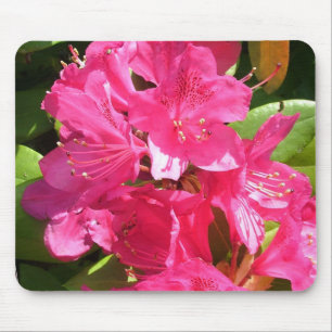pink rhododendron mouse pad