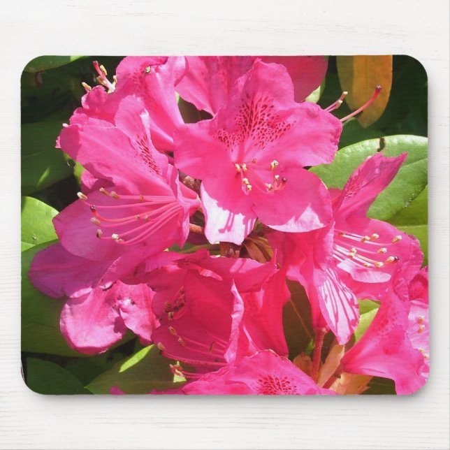 pink rhododendron mouse pad (Front)