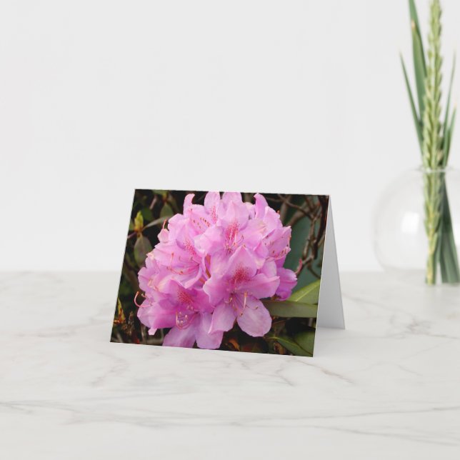 Pink Rhododendron note card (Front)