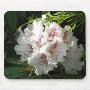 Pink Rhododendron Photo Mouse Pad