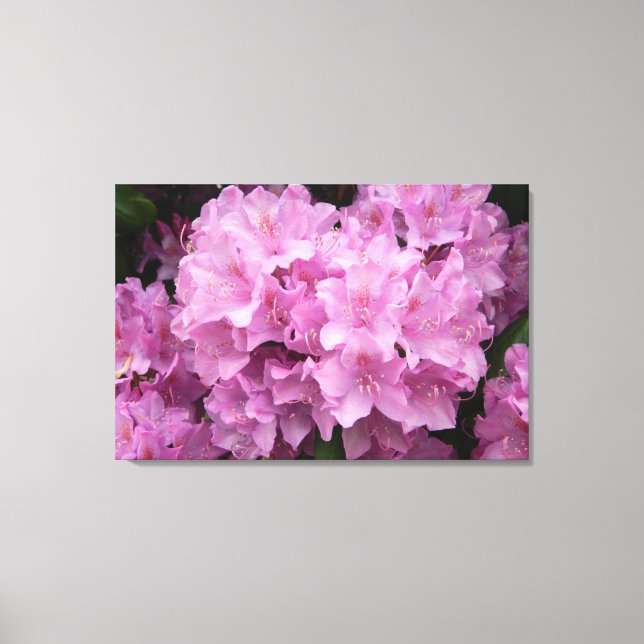 Pink Rhododendrons Wrapped Canvas Print (Front)