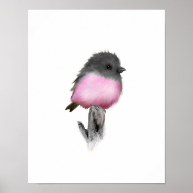 Pink Robin Poster Print (Front)
