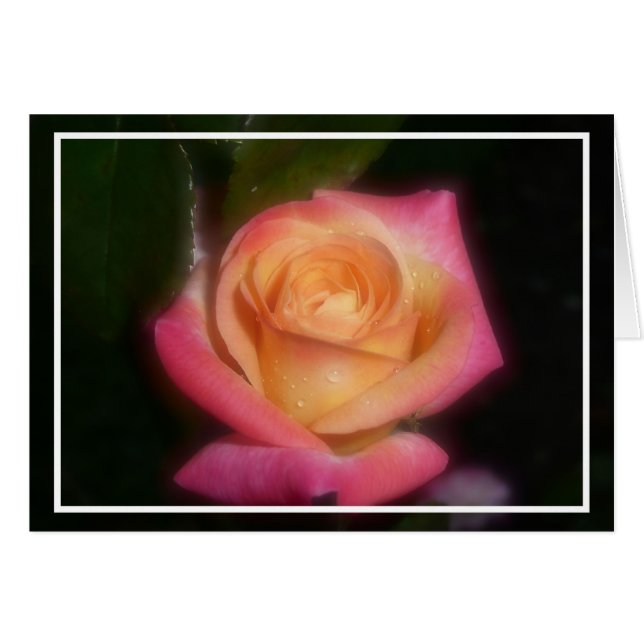 Pink Rose (Front Horizontal)