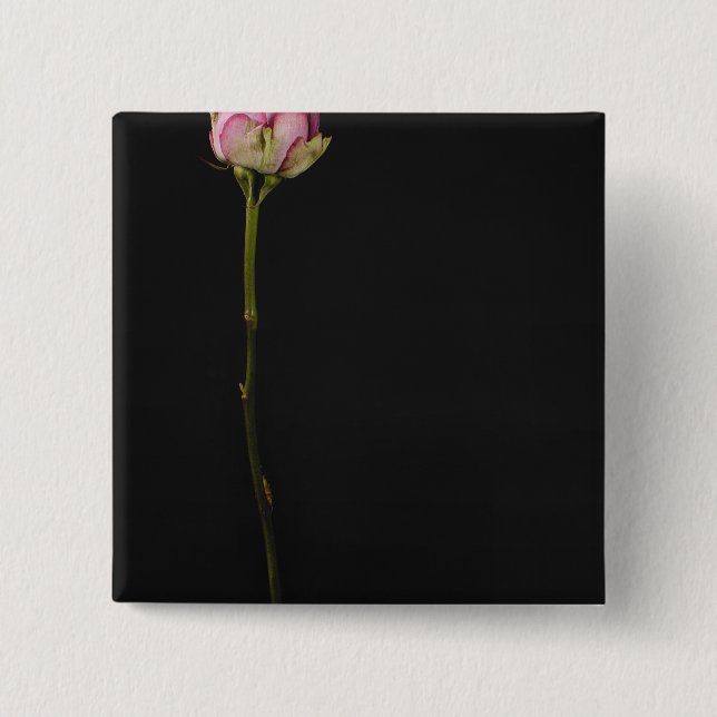 Pink rose 3 2 inch square button (Front)