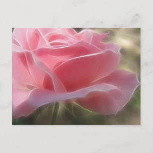 Pink Rose 3 Angelic Postcard
