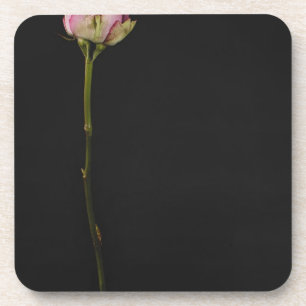 Pink rose 3 coaster
