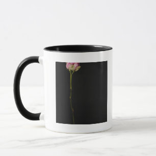 Pink rose 3 mug