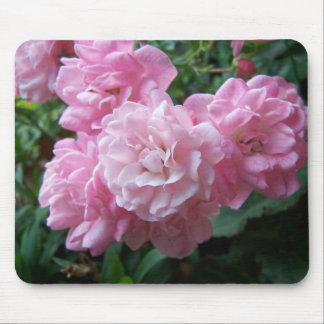 Pink Rose Beauties Mouse Pad