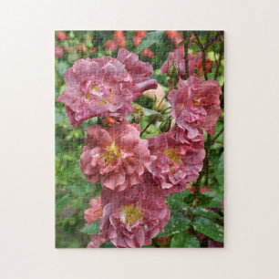 Pink rose beauty     jigsaw puzzle