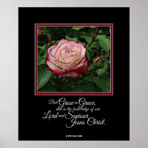 Pink Rose Bible Verse Artwork Wall Art / Poster