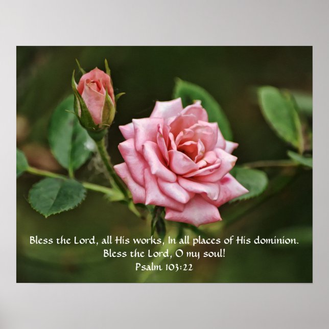Pink Rose Blessing Bible Scripture Poster (Front)