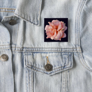 pink rose bloom 2 inch square button