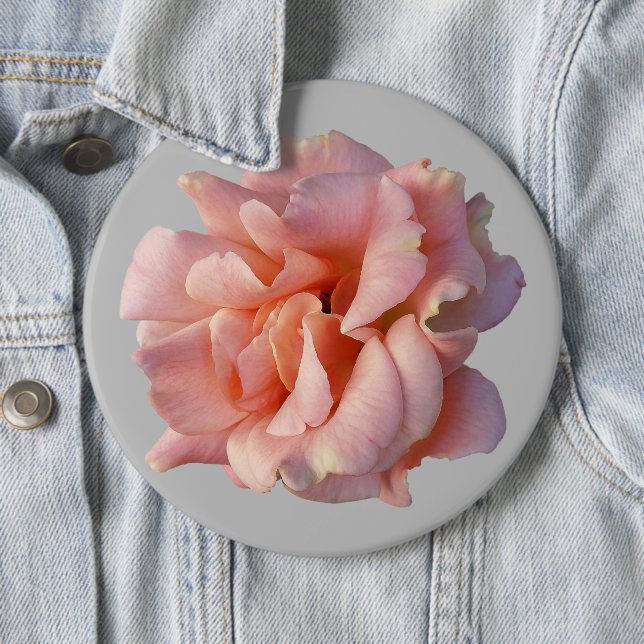 pink rose bloom 6 inch round button (In Situ)