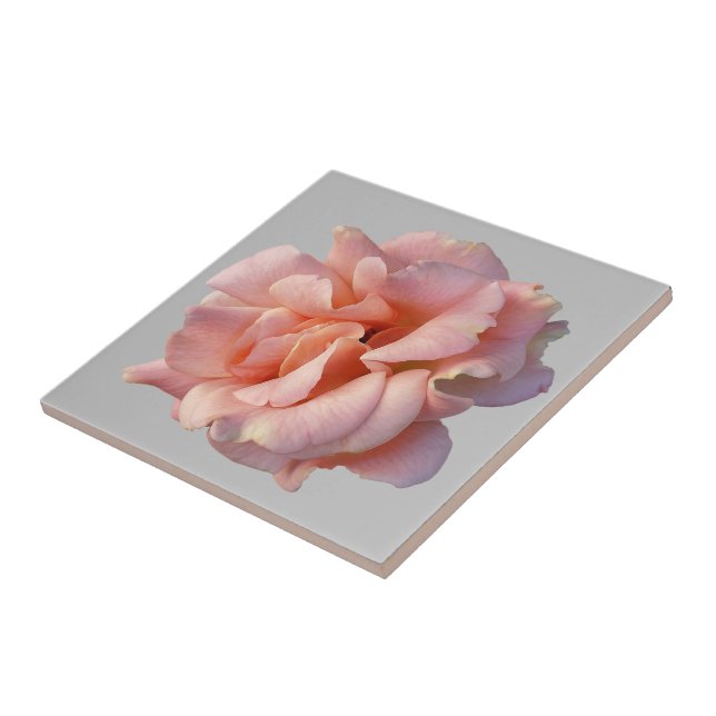 pink rose bloom tile (Side)