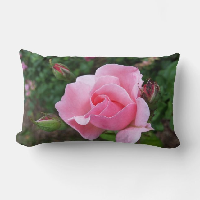 pink rose blooming lumbar pillow (Front)
