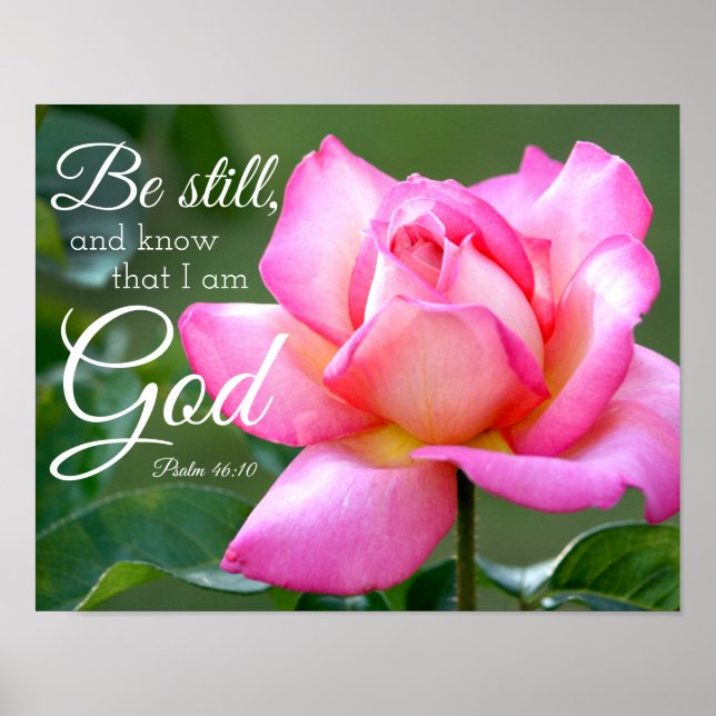 Pink Rose Blossom Be Still Psalm 46:10 Poster (Front)