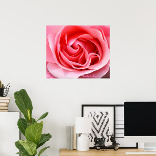 Pink Rose Blossom Print Beauty of a Rose
