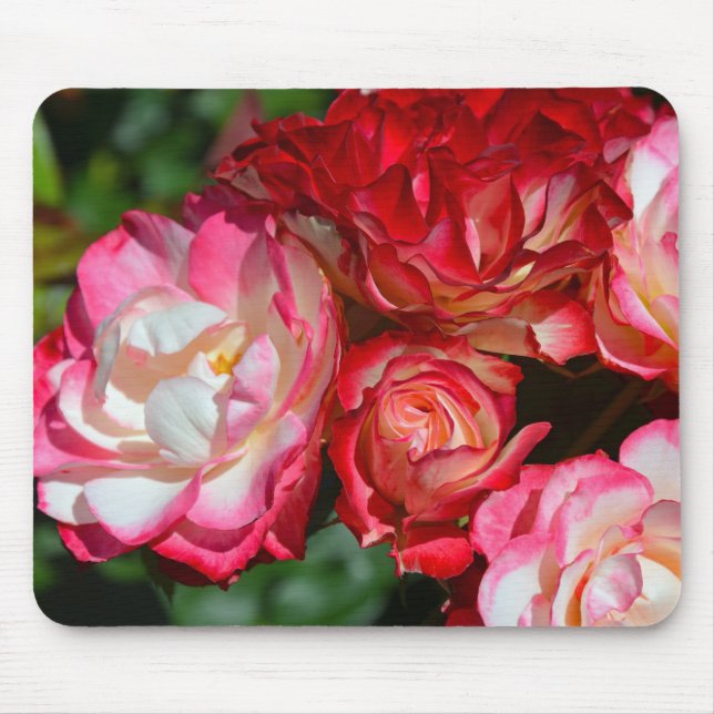 Pink rose blossoms mouse pad (Front)