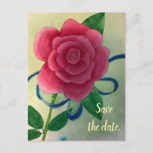 Pink Rose Blue Ribbon Save the date Postcards