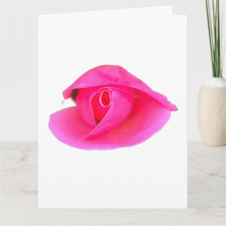 Pink Rose Bud Card