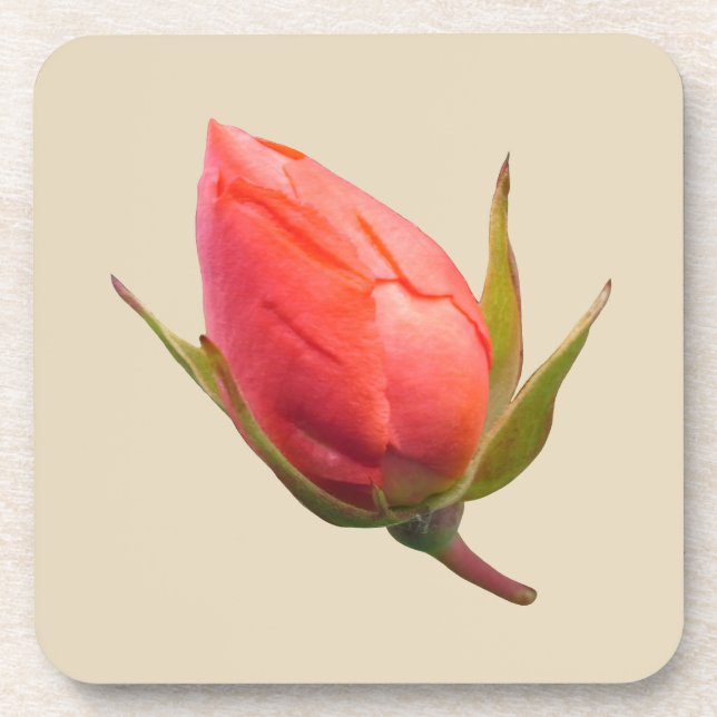 Pink Rose Bud Coaster (Front)