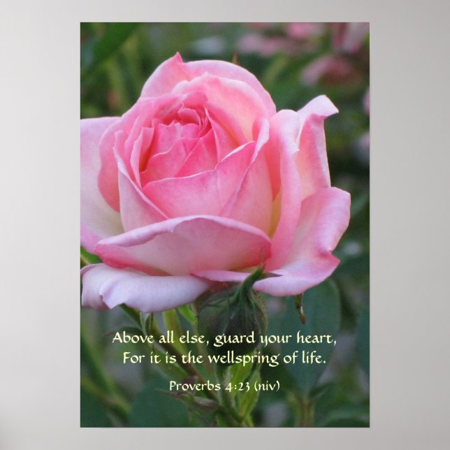 Pink Rose Bud ~ Proverbs 4:23 Poster (Front)