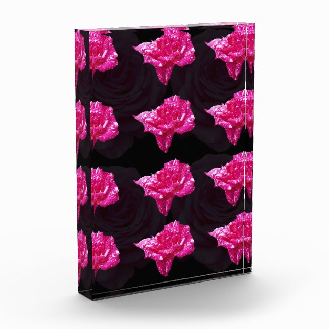 Pink Rose Candy,  Photo Block (Left)