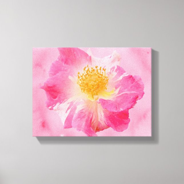 Pink Rose Canvas Print (Front)
