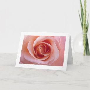 Pink Rose Card