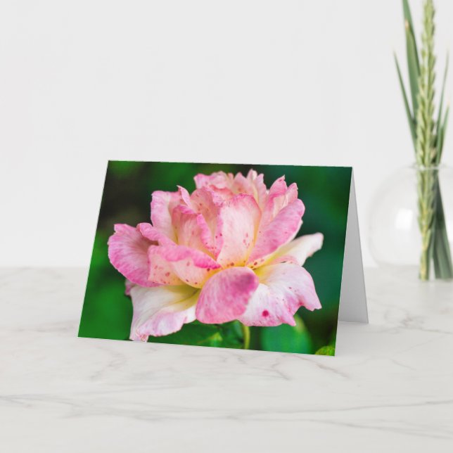 Pink Rose Card (Front)