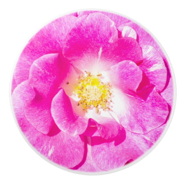 Pink rose ceramic knob (Front)
