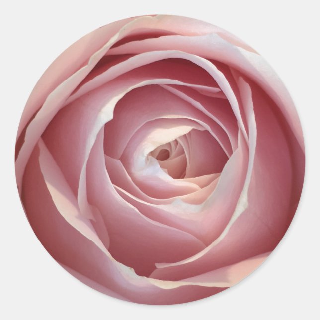 Pink Rose Circle Stickers (Front)