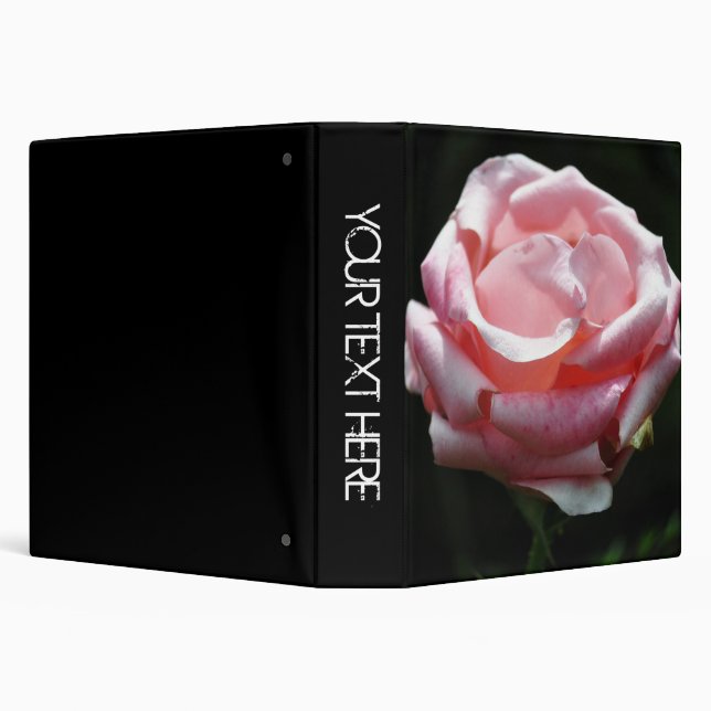 Pink Rose Close-up 2 Binder (Background)
