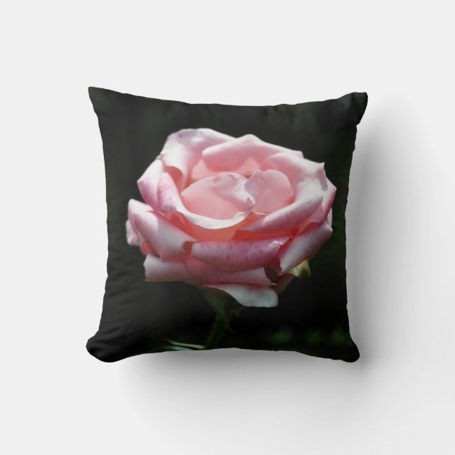 Pink Rose Close-up Throw Pillow (Front)