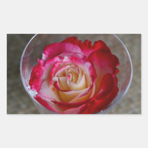 Pink Rose Closeup In Wine Glass Sticker