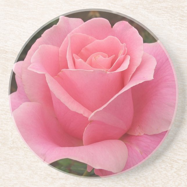 Pink Rose Coaster (Front)