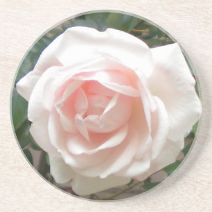 Pink Rose Coasters
