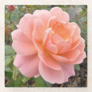 Pink Rose Coster Glass Coaster