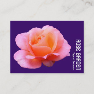 Pink Rose (Deep Purple) Business Card