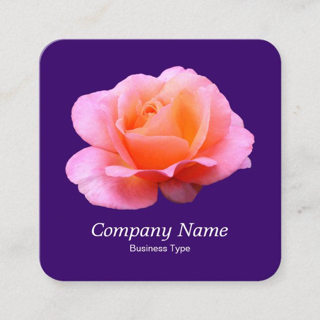 Pink Rose - Deep Purple Square Business Card (Front)