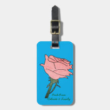 Pink Rose- Delicate and Lovely