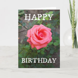 Pink Rose Floral Birthday Card