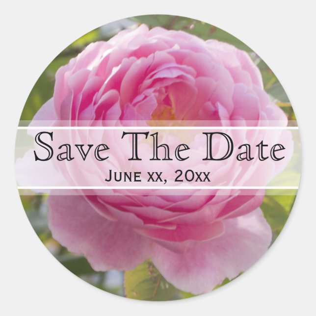 Pink Rose Floral Wedding Sticker (Front)